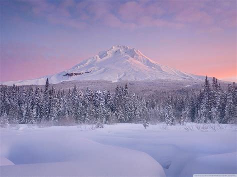 Mount Rainier Winter Wallpapers - Top Free Mount Rainier Winter Backgrounds - WallpaperAccess