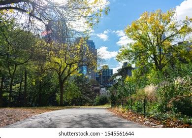 Fort Greene Park Brooklyn New York Stock Photo 1545561644 | Shutterstock