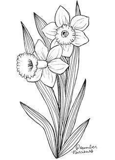 10 December birth flower tattoo ideas | birth flower tattoos, flower tattoos, flower tattoo