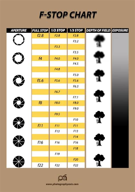 F stop Chart (Aperture Stop Chart) Explained - PhotographyAxis ...