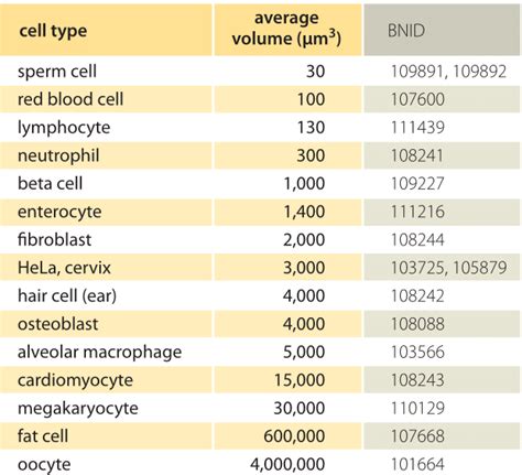 homework - What would happen if a cell is poked by a fine needle? - Biology Stack Exchange