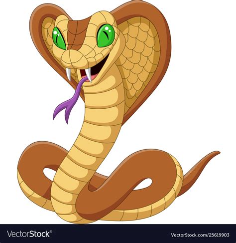 Cartoon king cobra snake on white background Vector Image