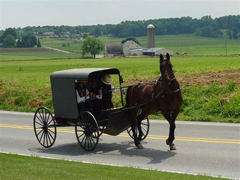 Amish Autumn Tour | Quilt Shop Bus Tours Amish Country | US Quilt Tours