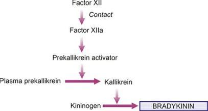 Functions Of Chemical Mediators Of Inflammation Notes - Anatomy Study Guide