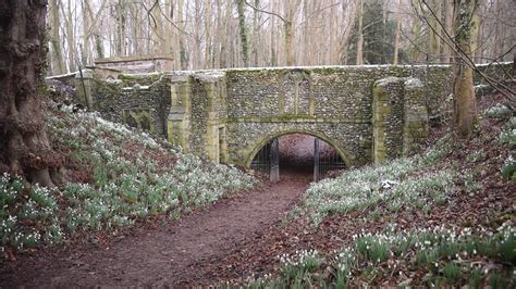 Stunning Snowdrops at Walsingham Abbey - YouTube