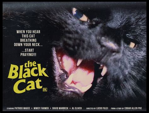 The Black Cat (1981) - Grave Reviews - Horror Movie Reviews