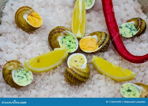 Helix Aspersa Muller, Maxima Snail. Edible Snails with Butter and Seasonings Stock Photo - Image ...