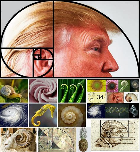 Trump is the Spiral. The Fibonacci Sequence, the Golden Ratio. [As ridiculous as this seems, its ...