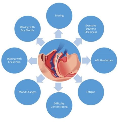 The 2 Main Types of Sleep Apnea Explained：Obstructive & Central - 33rd Square