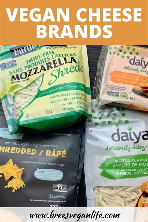 Popular Vegan Cheese Brands That Make Delicious Cheese Alternatives