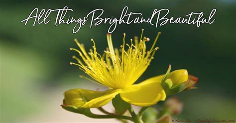 All Things Bright and Beautiful - Lyrics, Hymn Meaning and Story