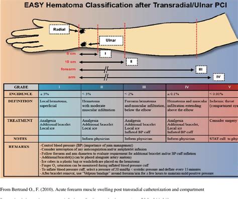 Figure 1 from Development and Evaluation of an Evidence-Informed Protocol for the Nursing Care ...