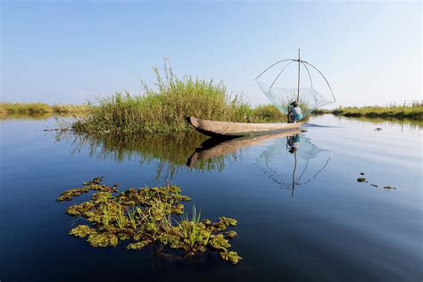 Fishing, Loktak Lake, Nr Imphal Photograph by Peter Adams