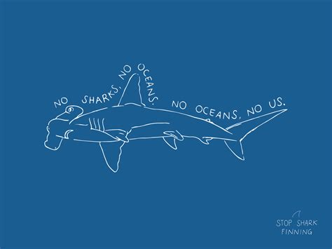 Stop Shark Finning by Martha Alvarez Gastelum on Dribbble