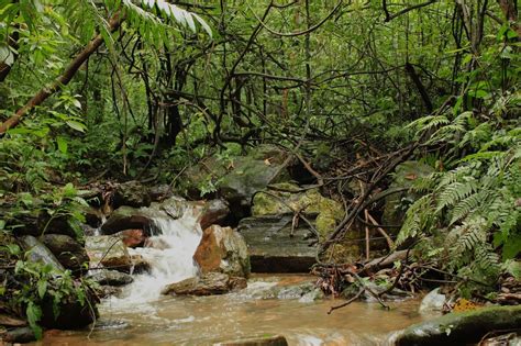 Ba Vi National Park near Hanoi - Guide Vietnam