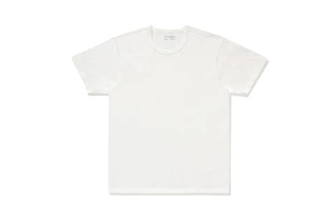 The Best Plain White T-Shirts to Buy in Bulk 2023: Calvin Klein ...