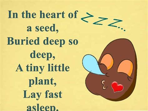 Poem - The little plant ( class 2 )