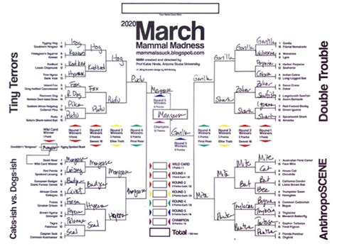 March Mammal Madness 2024 Results - Dorie Laverne