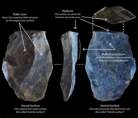 Stone Tool Characteristics