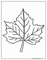 Leaves Coloring Page Part 2 Crafts And Worksheets For sketch template