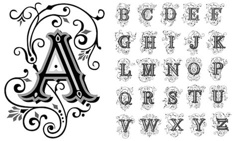 Premium Vector | Vintage decorative font alphabet vector set of hand ...