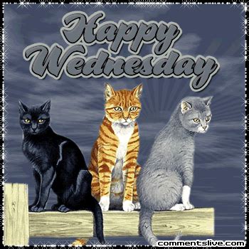 three cats sitting on top of a wooden post with the words happy ...