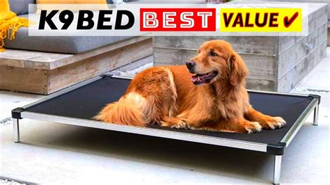 Best Value K9 Ballistics Dog Bed - learn-share.net