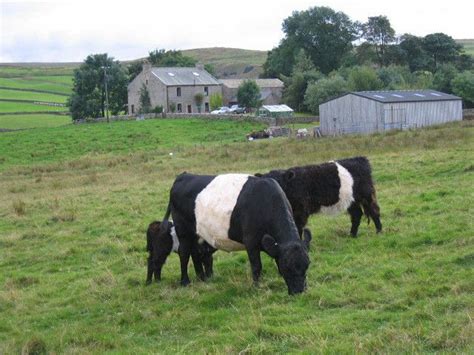 This week we broke the news that Hannah Hauxwell's former farm in Baldersdale is up for sale ...