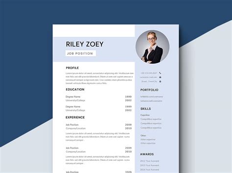 Free Document Controller Resume Example Template for Your Job Opportunity