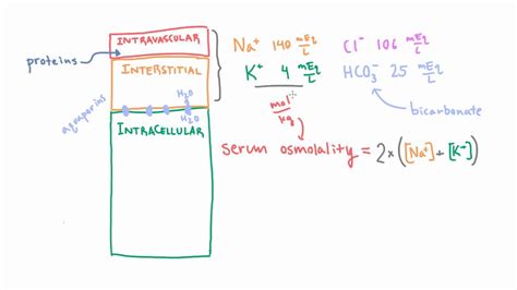 Estimating Serum Osmolality using a Simple Formula - YouTube