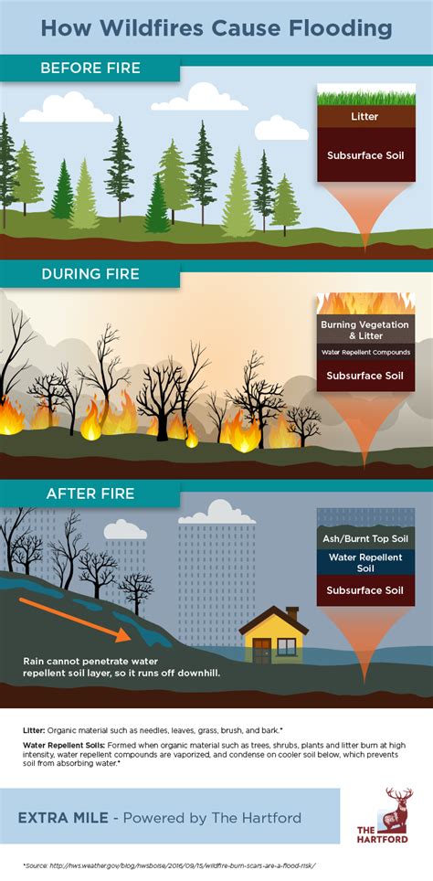 When Wildfires Strike, Floods Can Follow