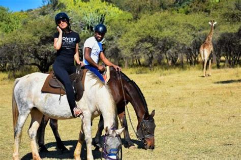 Harties Horse Trail Safaris | Hartbeespoort, Gauteng