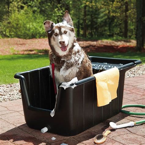 10 Best Outdoor Dog Baths - Outdoor Dog World | Dog tub, Dog washing station outdoor, Dog ...