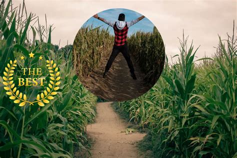 Michigan's Home to 2 of the Best Corn Mazes in the Country