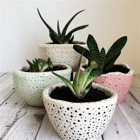 Ceramic planters handmade plant pots | Pottery plant pots, Clay plant pots, Plant pot diy