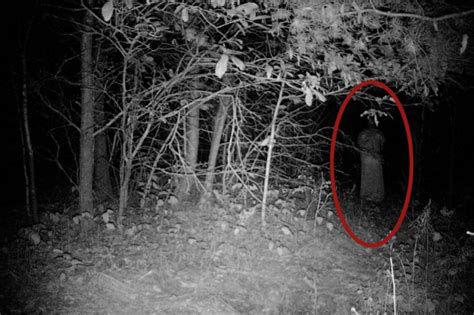 The Most Horror Convincing Ghost Photos Ever Seen