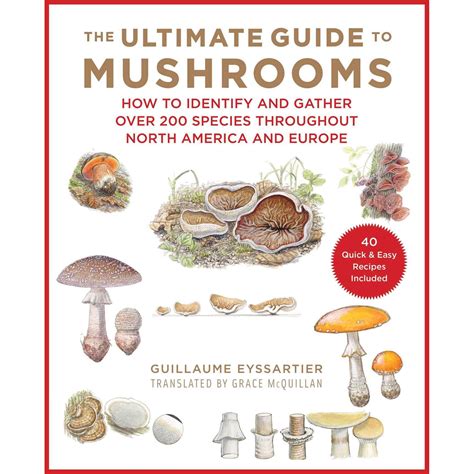 Outdoor Related Titles :: Field Guides :: Mushroom Identification ...