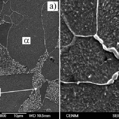 Light optical micrograph of the ferrite-pearlite microstructure of this... | Download Scientific ...