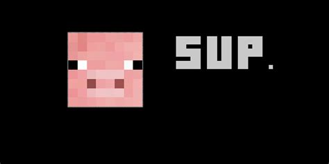 Minecraft Pig Wallpapers on WallpaperDog