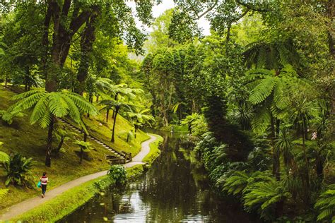 The 12 Best Things to Do on Sao Miguel Island, the Azores