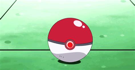 Pokeballs (#1) | •Pokémon• En Español Amino