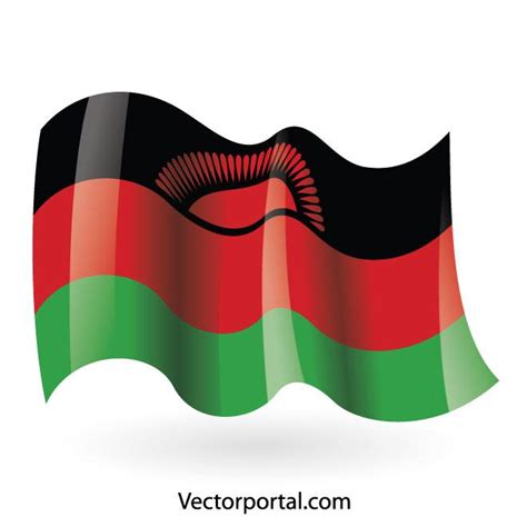 Malawi flag vector image