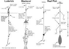 Image result for freshwater fishing rigs diagrams | Fishing rigs, Saltwater fishing, Fishing tips