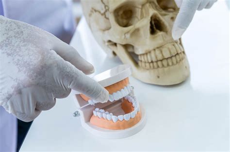 How To Become A Forensic Dental Assistant - INFOLEARNERS