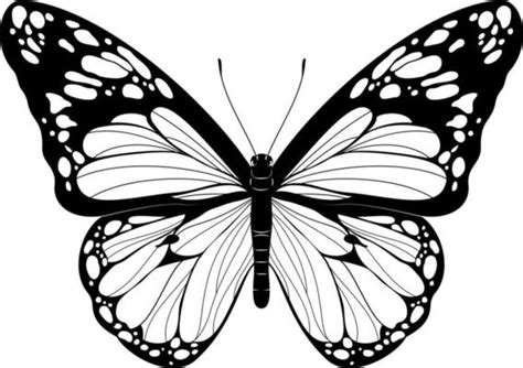 Butterfly Vector Art, Icons, and Graphics for Free Download