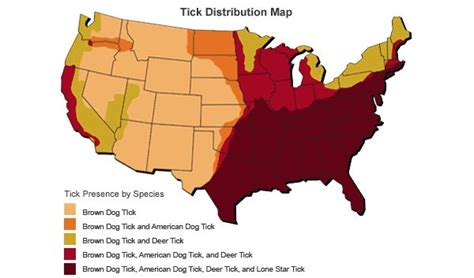 So What About Ticks?