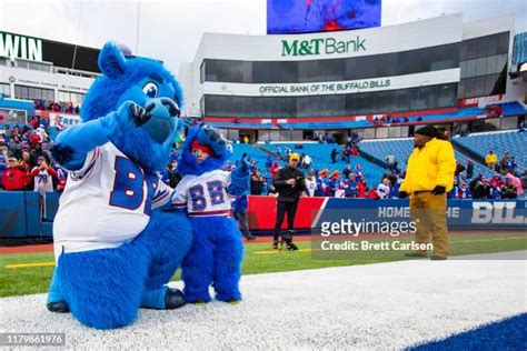 72 Billy Buffalo Mascot Stock Photos, High-Res Pictures, and Images ...