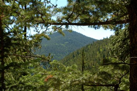 Horseshoe Trail – Golden Gate Canyon State Park, Colorado – Brian's hikes