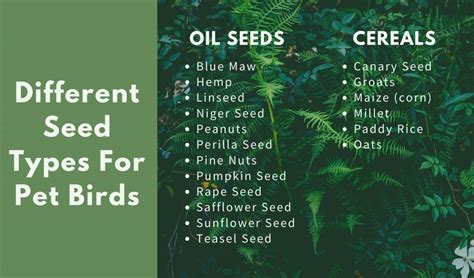 different types of bird seed | Seeds, Best foods, Company meals