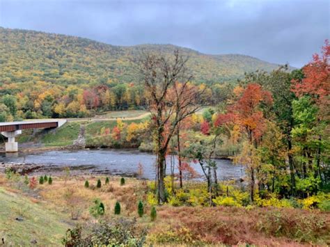 Enjoy Fall Foliage with a Scenic Poconos Train Ride by Nicole Pensiero ...